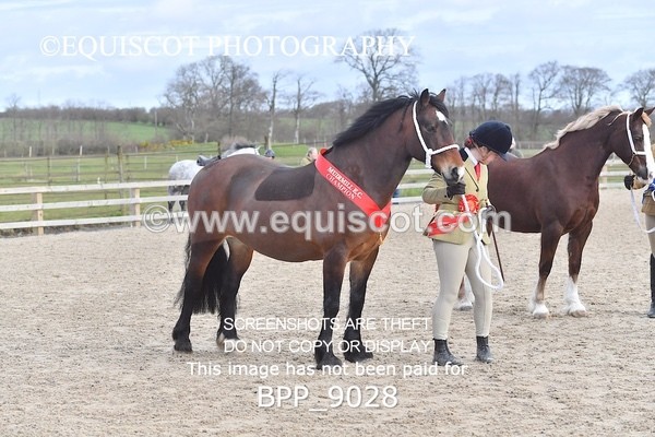 BPP_9028 - RING 2 - M&M