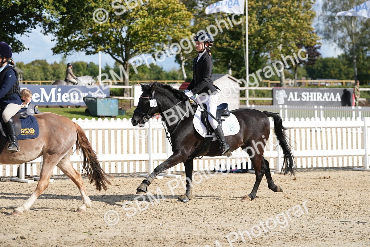 SBM_48641 - J7 - Junior Pony 60cm Championship