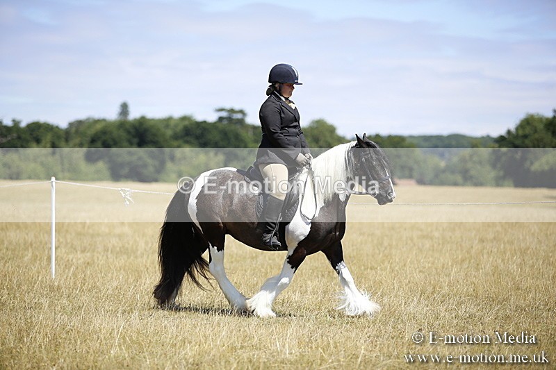 _C7A9823 - BVRC Show 2018 Ring 1