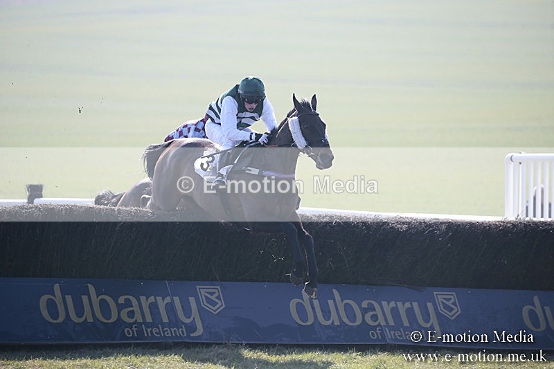 PtP 240218 87 - Vine & Craven Hunt Point-to-Point Barbury racecourse 24/02/18
