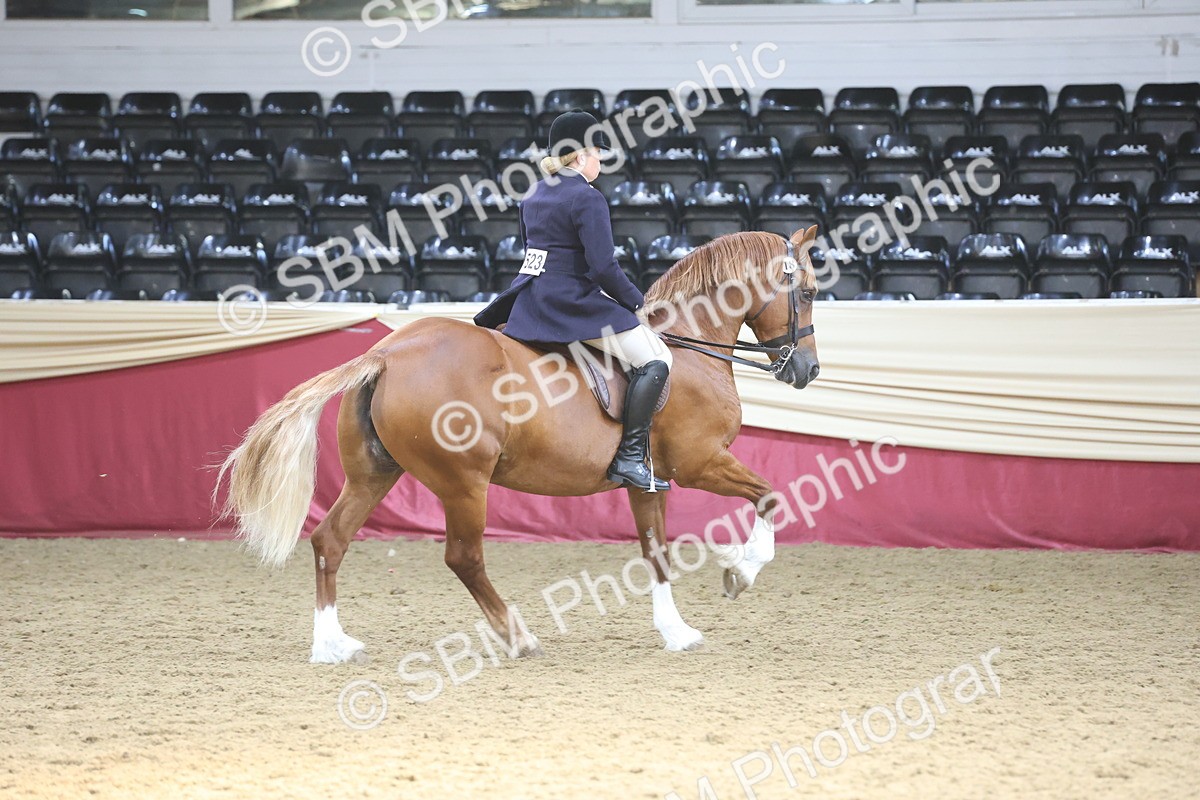 SBM_23818 - class 906 - Supreme Final - Ridden Pre Vet