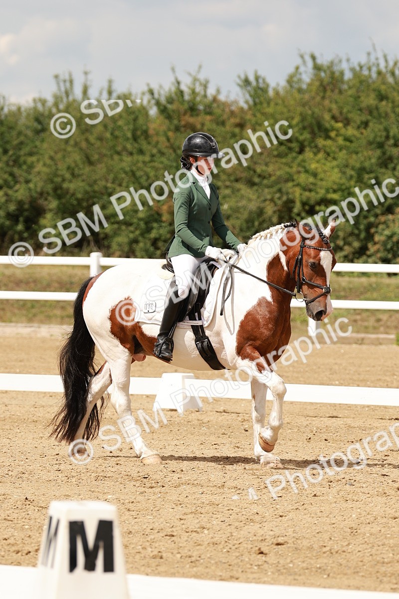 SBM_001984 - Class 8 - Elementary 6