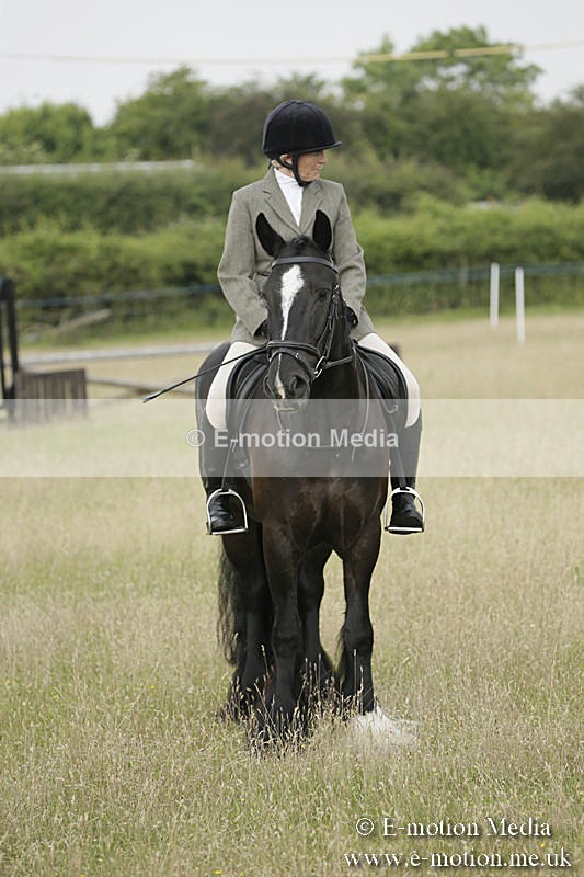 B230619-0168 - Bourne Valley Riding Club Summer Show 23/06/19