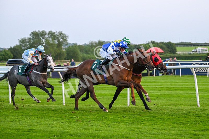 310524-Race 6-Mister Sox-9060 - Race 6