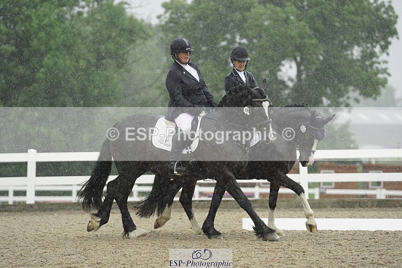 230708A-123308-00436 - BRC Pairs 5