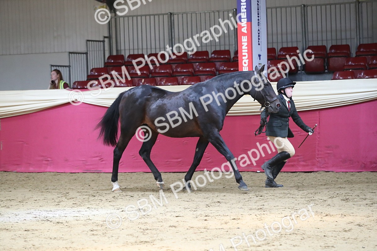 SBM_04363 - Class 7R Regional - IH Diamond