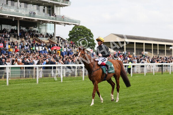 yr13052022r4-69 - Race 4 3.35pm The Paddy Power Yorkshire Cup (British Champions Series Race)