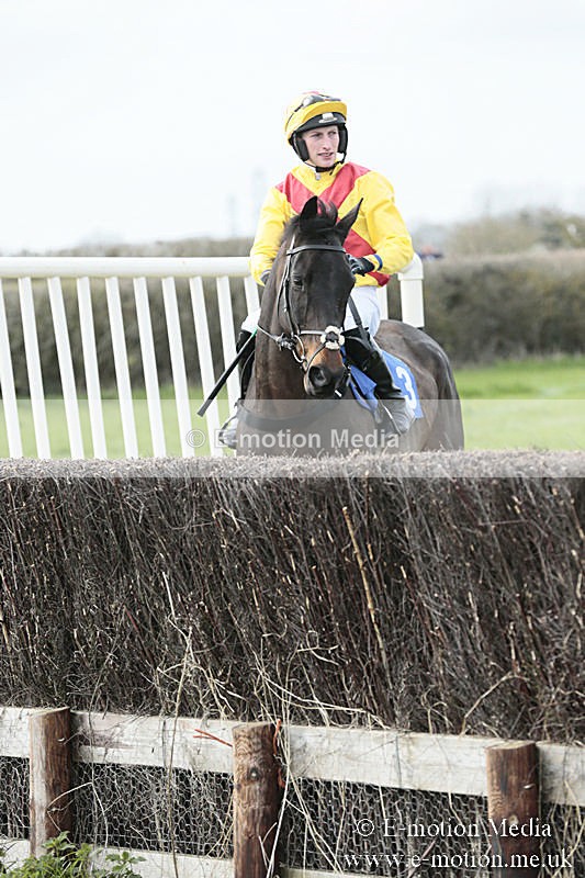 PtP 230319 214 - VWH Hunt Siddington Point-to-Point Racing 23/03/19