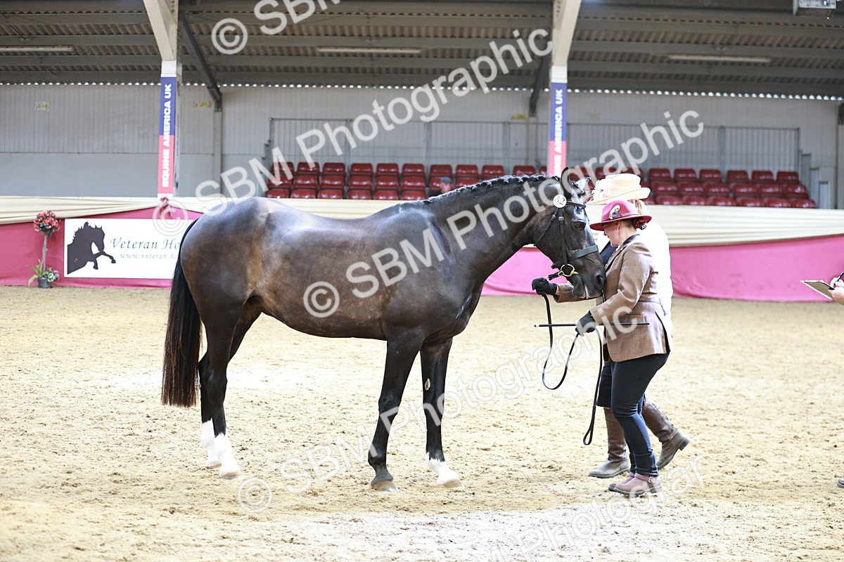 SBM_04802 - Class 7R - Regional IH Diamond