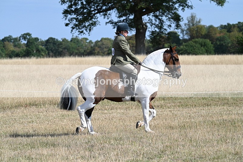 WJ7_2810 - Class 8 Ridden Tack & Turnout