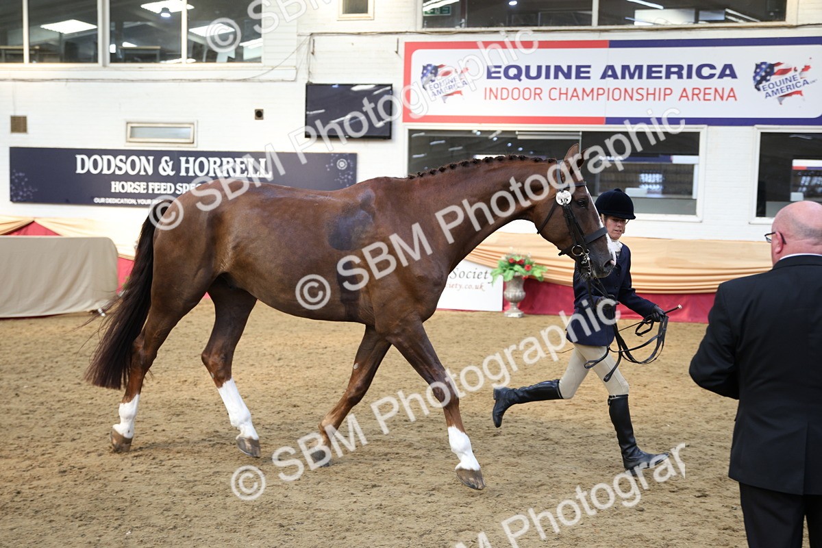 SBM_24789 - Class 906 - Supreme Final - Ridden Pre Vet
