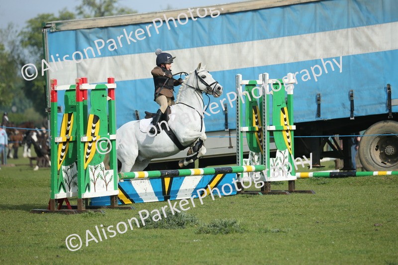 20260426-0122 - Class 13 - Rookie Jumping 50cm