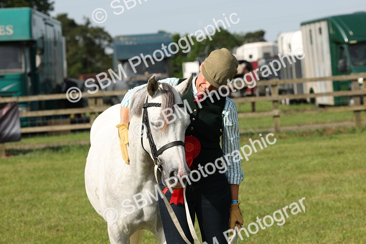 SBM_00763 - Class 6-13 - Mountatin and Moorland In Hand Welsh Breeds