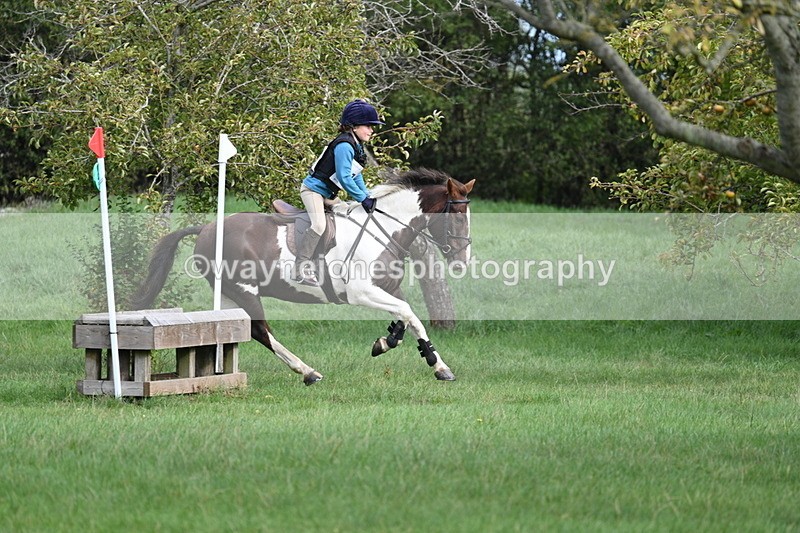 WJ7_8432 - 60cm Pairs