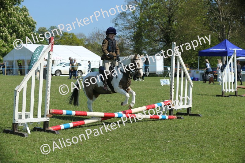 20250427-1897 - Class 2 - Mini Jumping 30cm