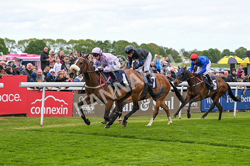 050525-Race 4-Vixey-4684 - Race 4