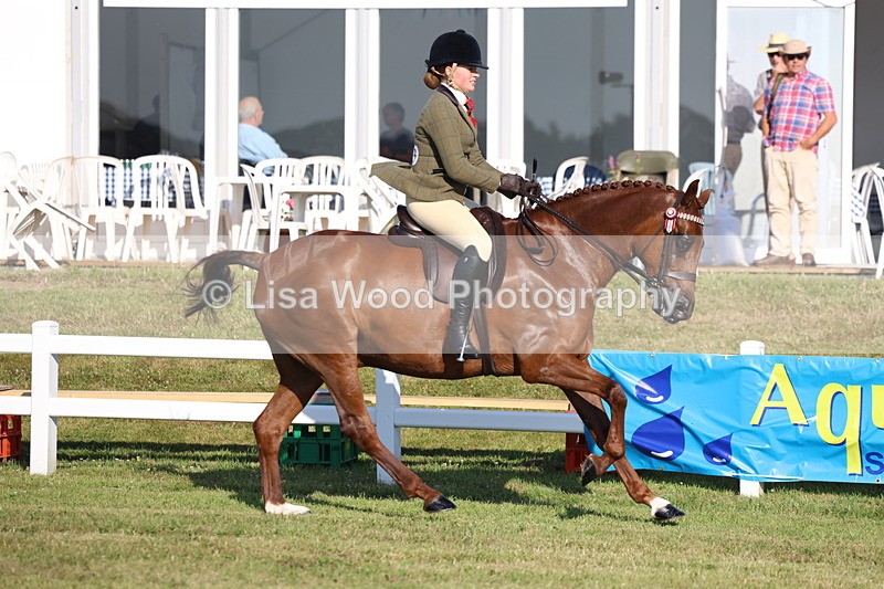 3E7A5090 - Class 1: Rising Star Small Hack/Riding Horses