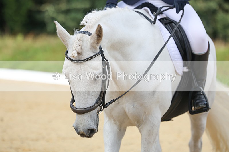 3E7A1978 - Class 1: Intro 4 2024 section A