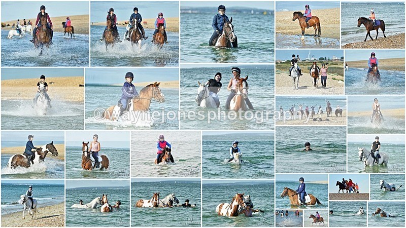 beach web - Beach Shoot examples