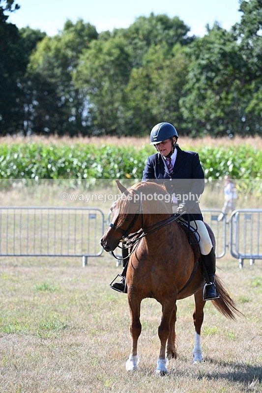 WJ7_3660 - Class 9 Mountain & Moorland Ridden