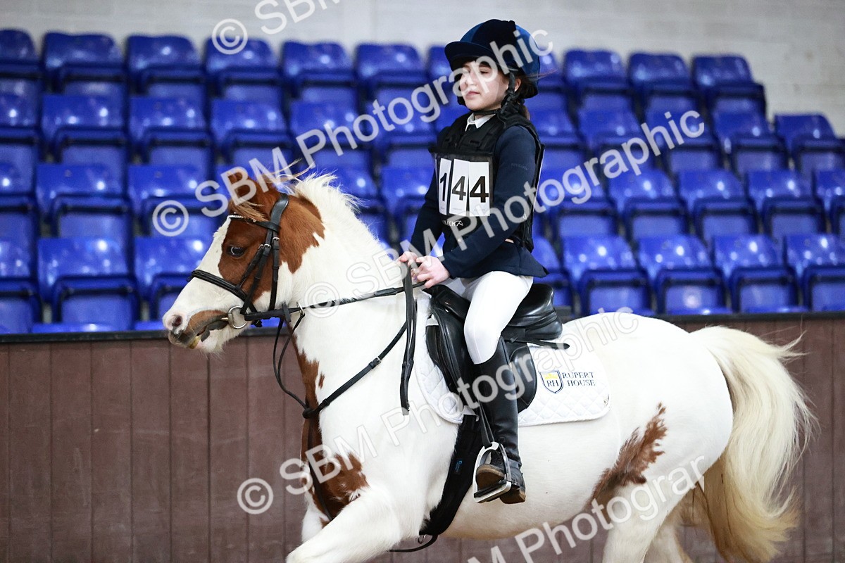 SBM_000746 - Class 3 - 60cm