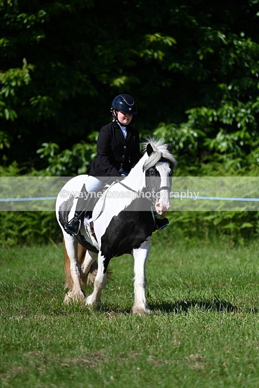 WJ7_0531 - Class 8 First Rally Pony
