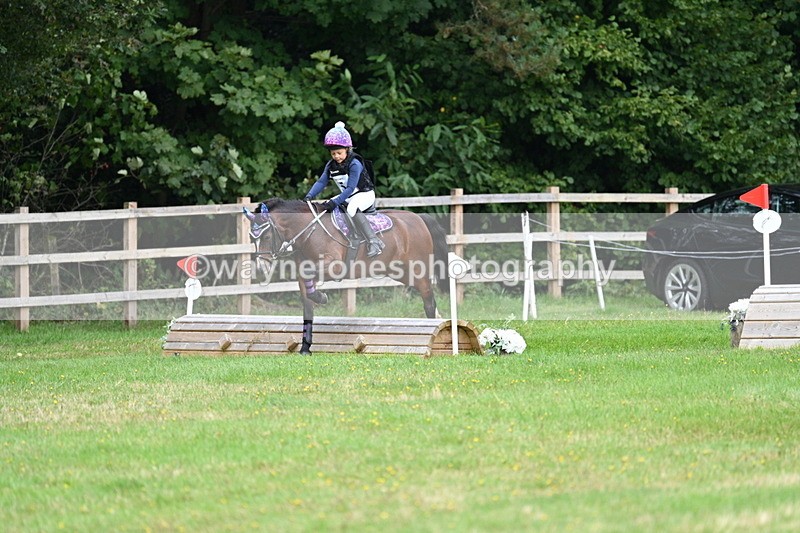 WJ7_7338 - 40cm Time 10:06 to 10:24