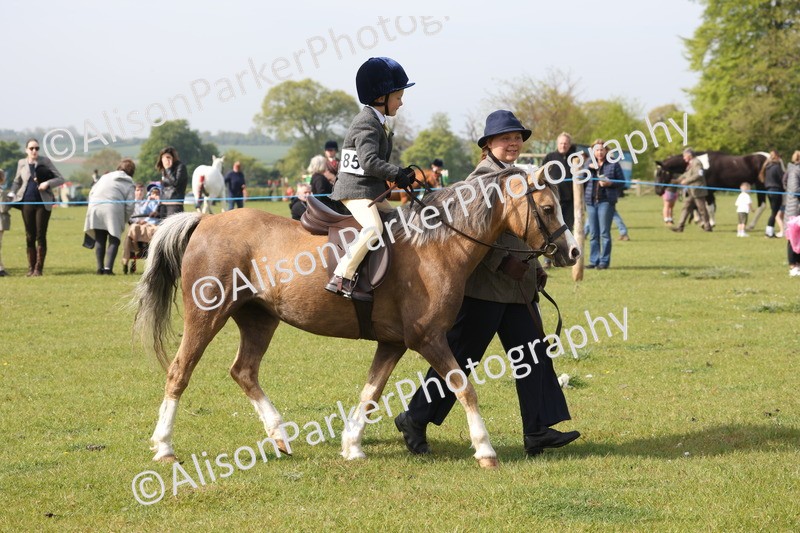 20260426-0422 - Class 30 - Tiny Tots Lead Rein