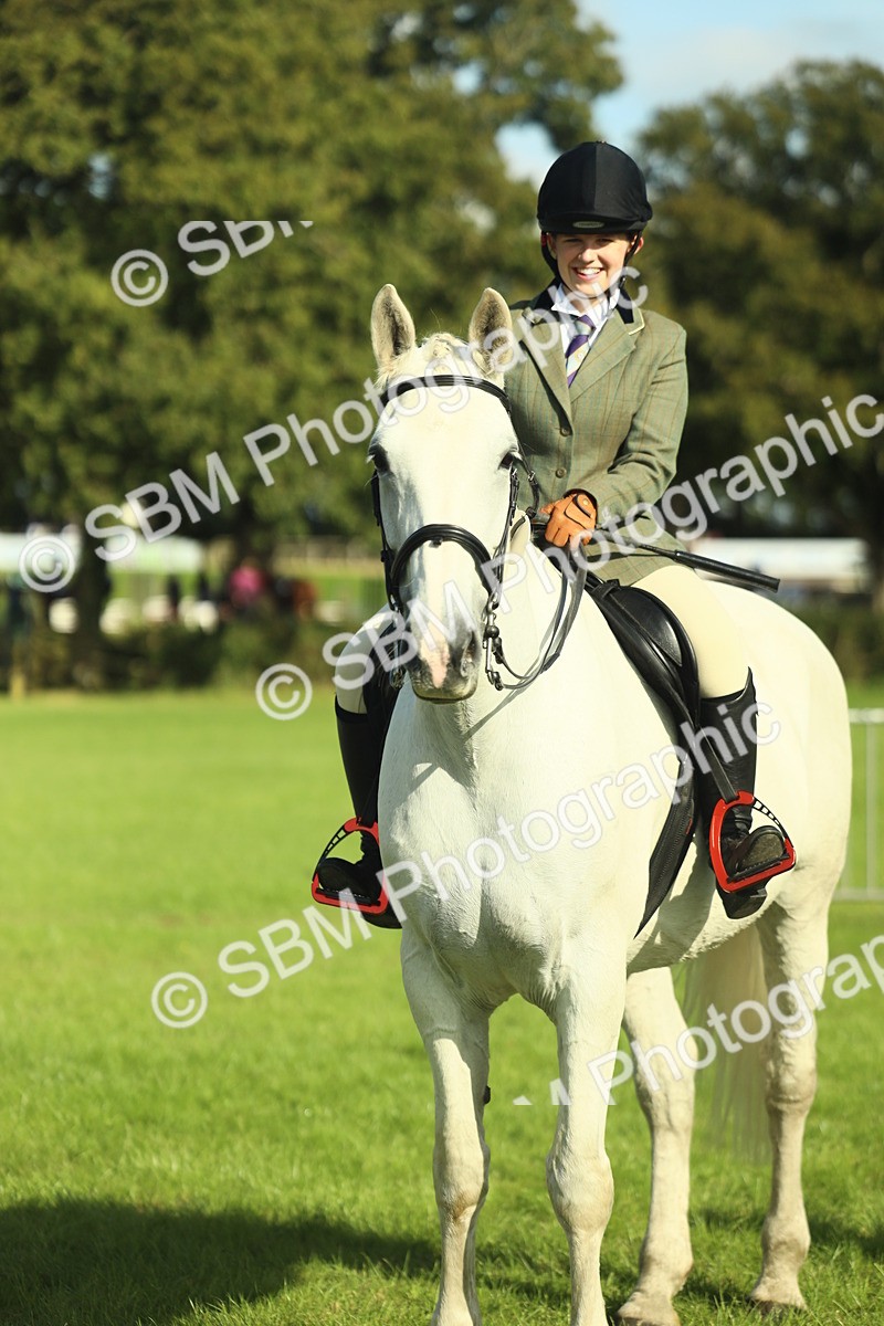 SBM_49854 - S32 - Novice & Newcomers Working Hunter