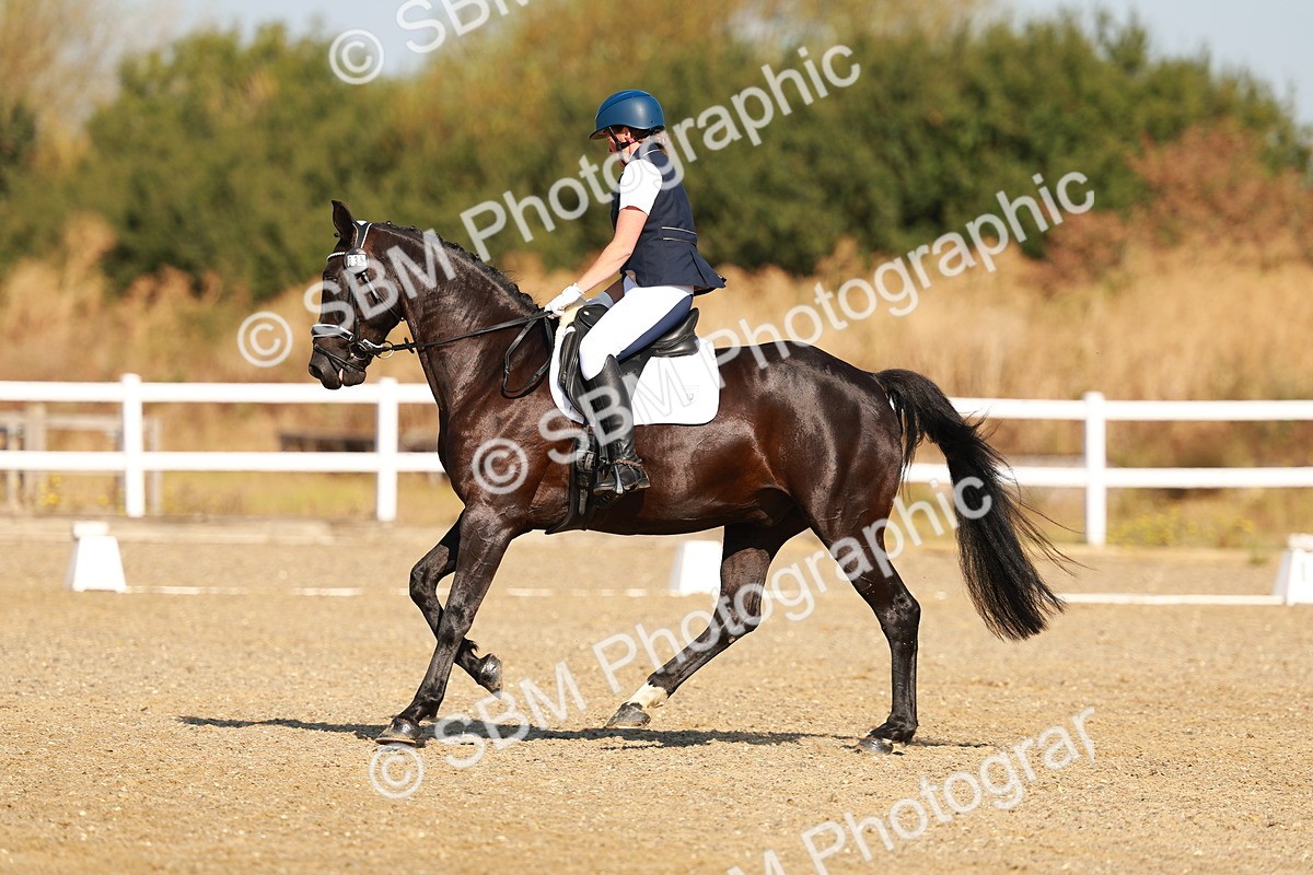 SBM_016595