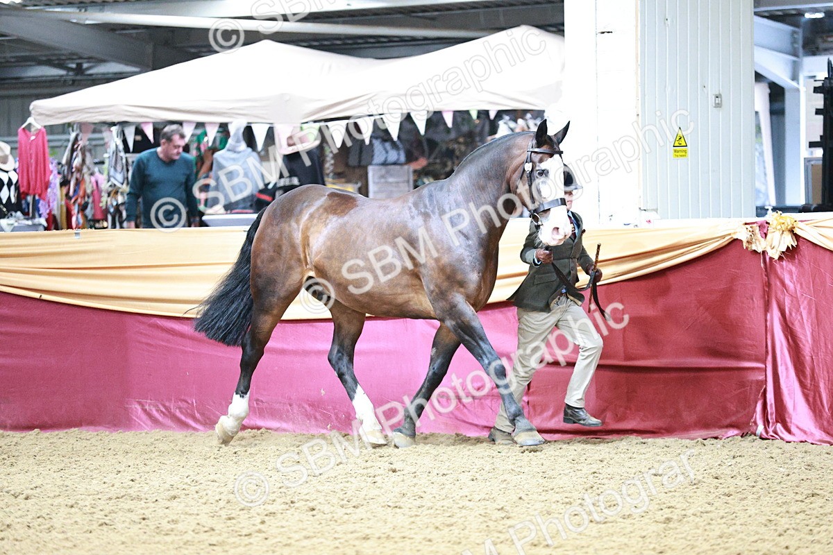 SBM_01163 - Class 3A - Area IH Pre-Vet