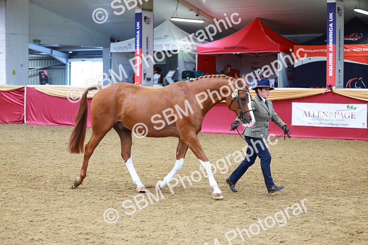 SBM_00545 - Class 3A - IH Pre-Vet