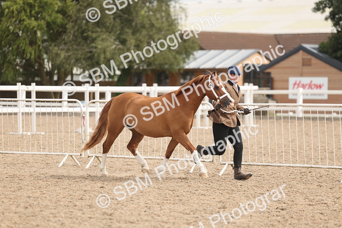 SBM_04960 - Class 20 - IH Veteran