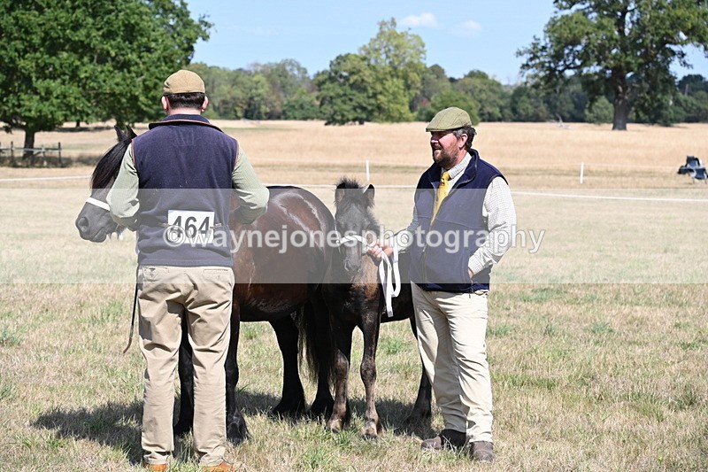 WJ6_5047 - Class 17 Mountain & Moorland