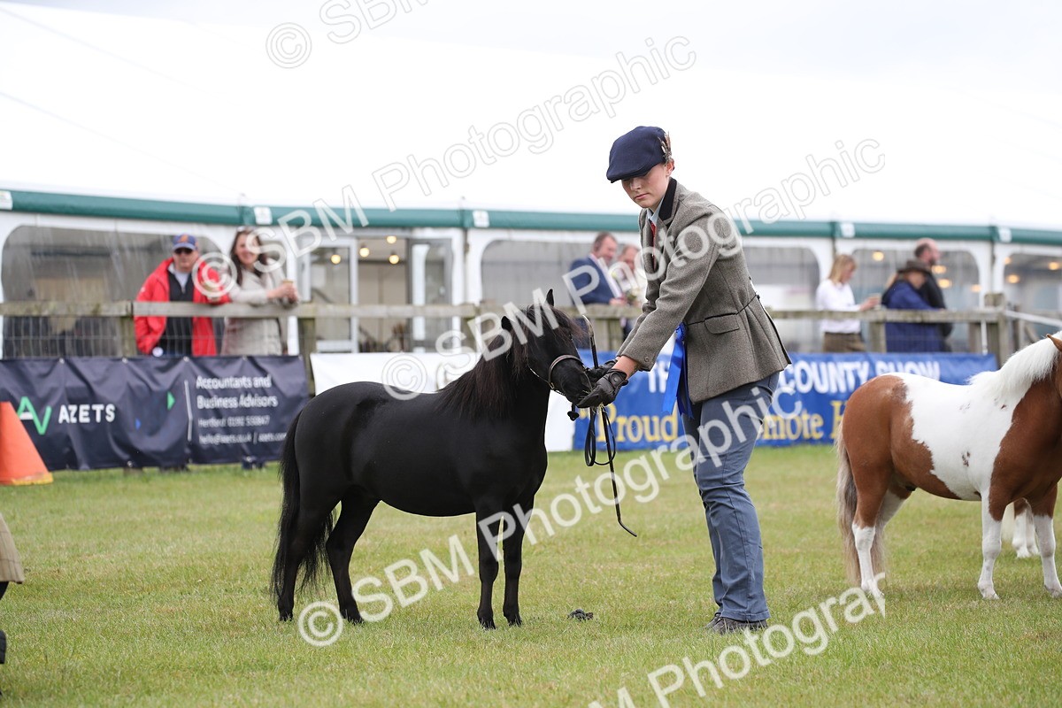 SBM_03549 - Class 23-25 - British Miniature Horse of the Year