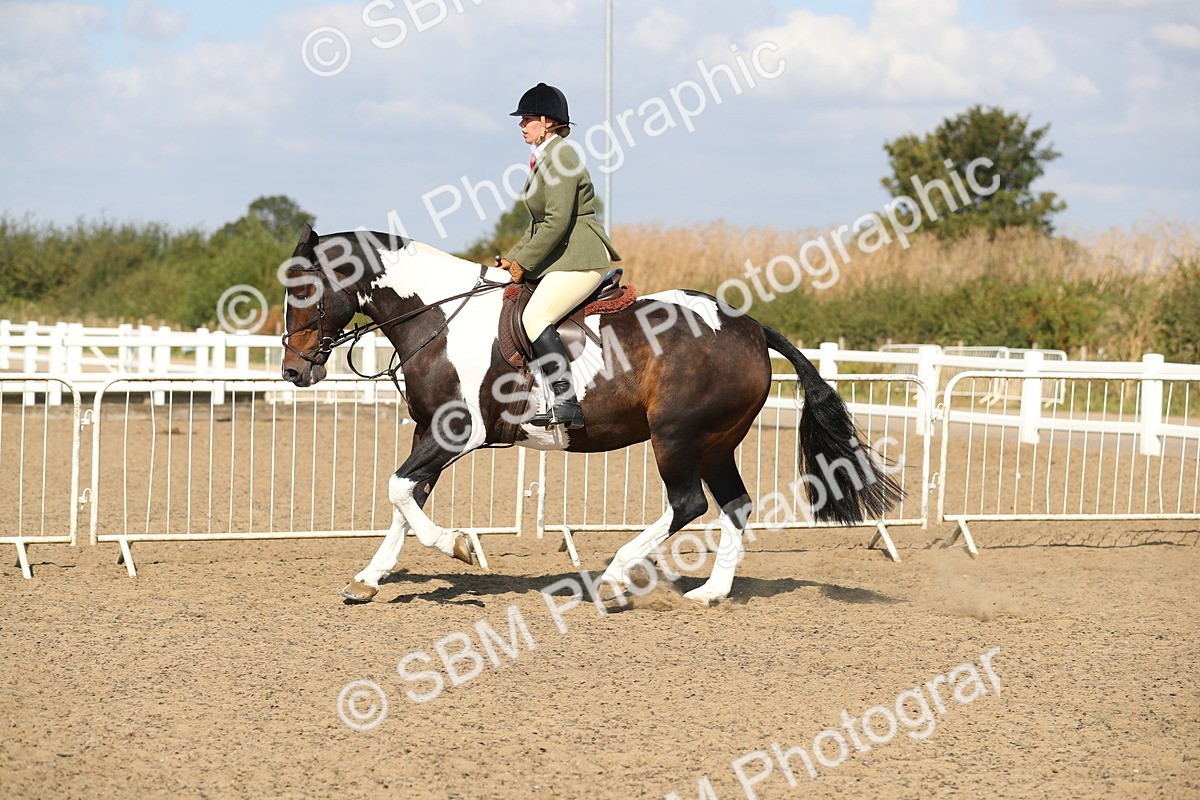 SBM_03164 - Class 44 Riding Club Horse/ Pony