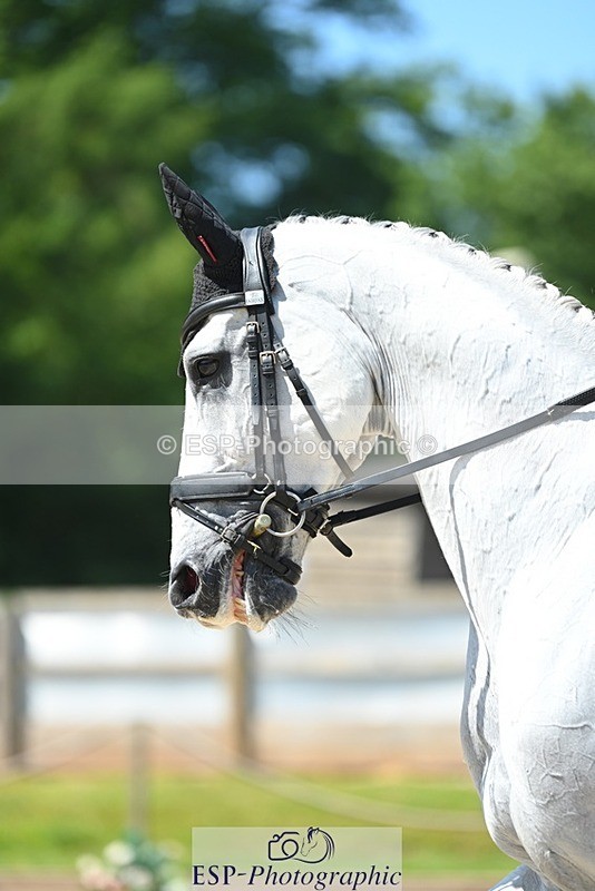 230526-120010-05909 - 472-VENDREDI_BIATS-Kitty_King-DR