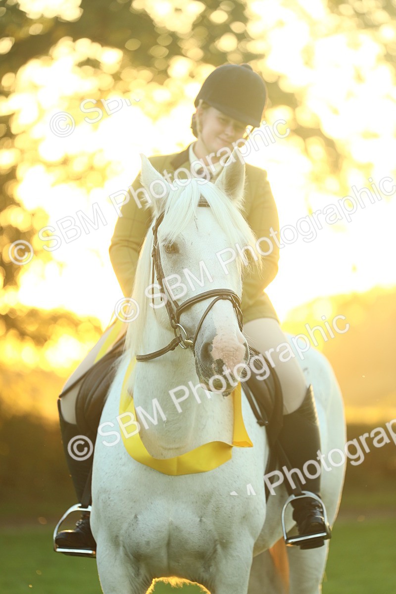 SBM_56729 - Fun & Versatile Supreme Championship