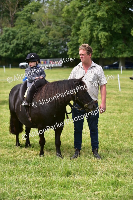 20260614-4023 - Class 16 - Handsome Gelding