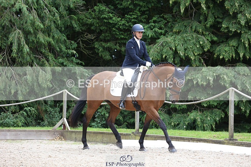 230812-150436-05042 - Cls 5 Novice Bronze 15.00 to End