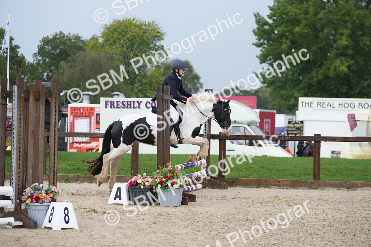 SBM_33951 - J5 - Junior Pony 50cm Championship