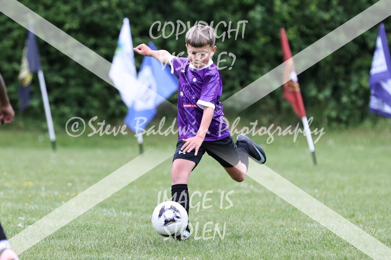 1DX31050 - Brook Field V Goddard Park