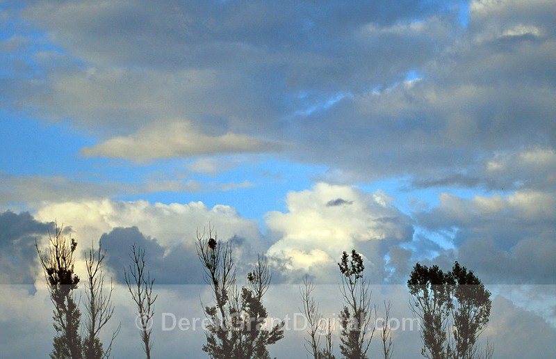 Stratocowmoolous ? - Sunset/Moonrise