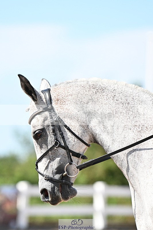 240816A-144041-05473 - 257-Looby.Marsden-RAINBOW.DREAM