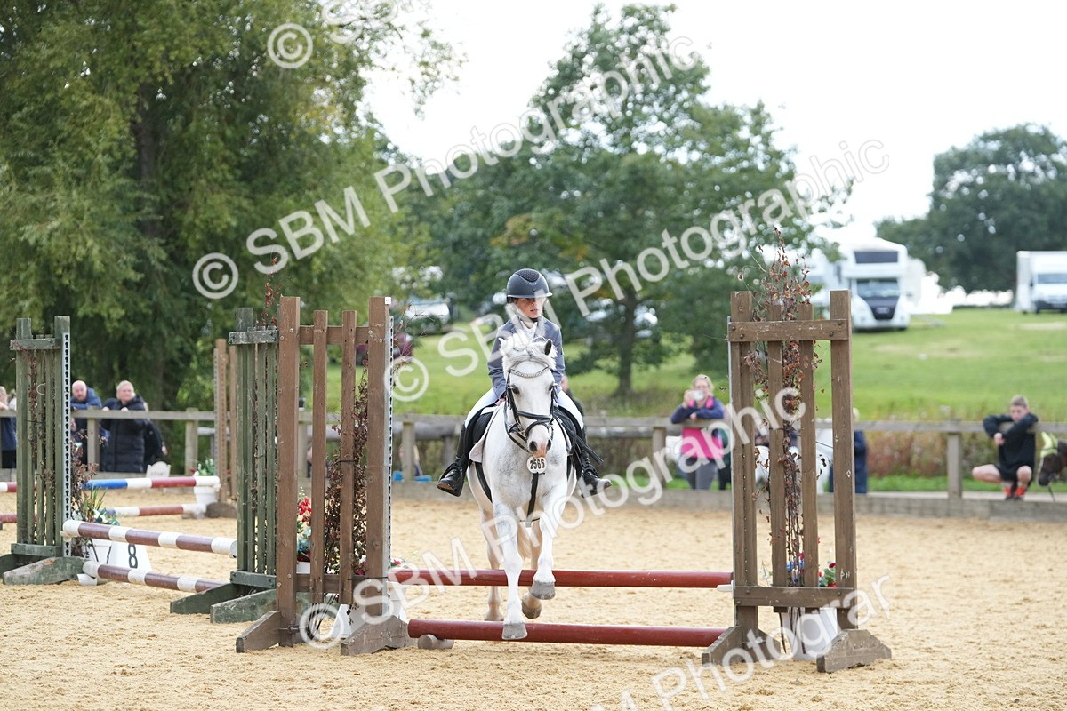 SBM_74682 - J4 - Mini Tour Junior Pony 45cm Championship