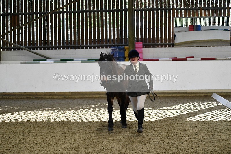 WJ5_3566 - Class 5 In Hand Veterans