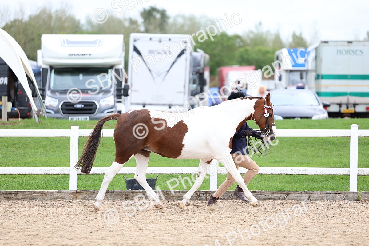 SBM_05890 - Class 29 - IH Veteran Pony