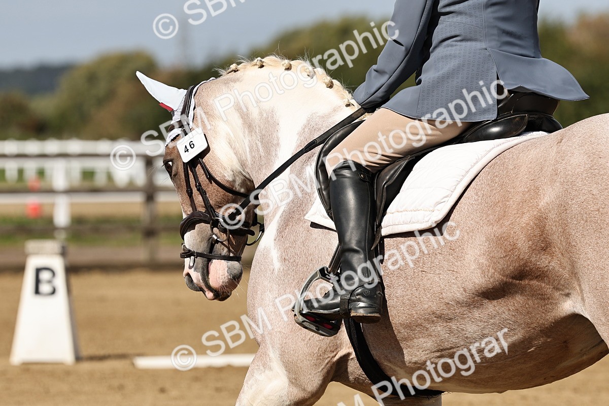 SBM_001017 - Class 46 - Novice 1 Combined Training