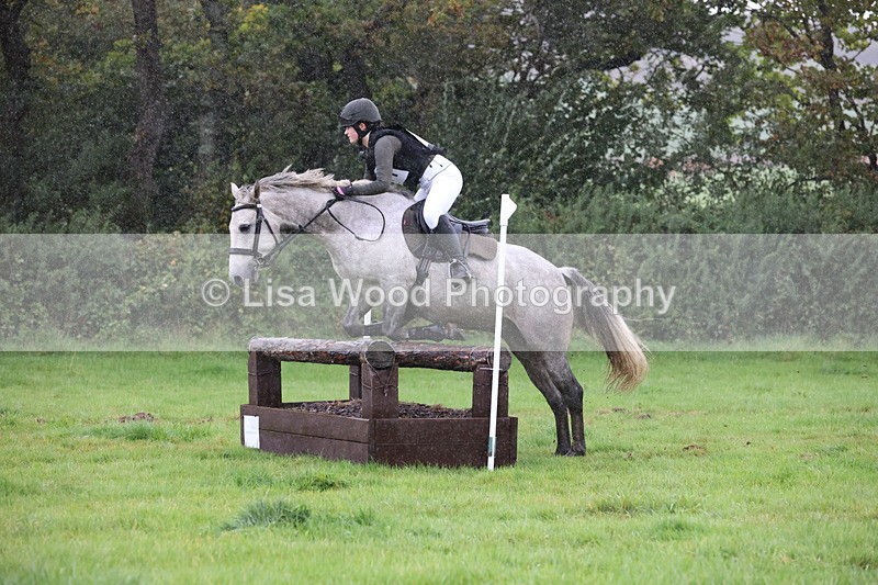 JPP_5412 - Class 4: 80cm: Crossed Logs