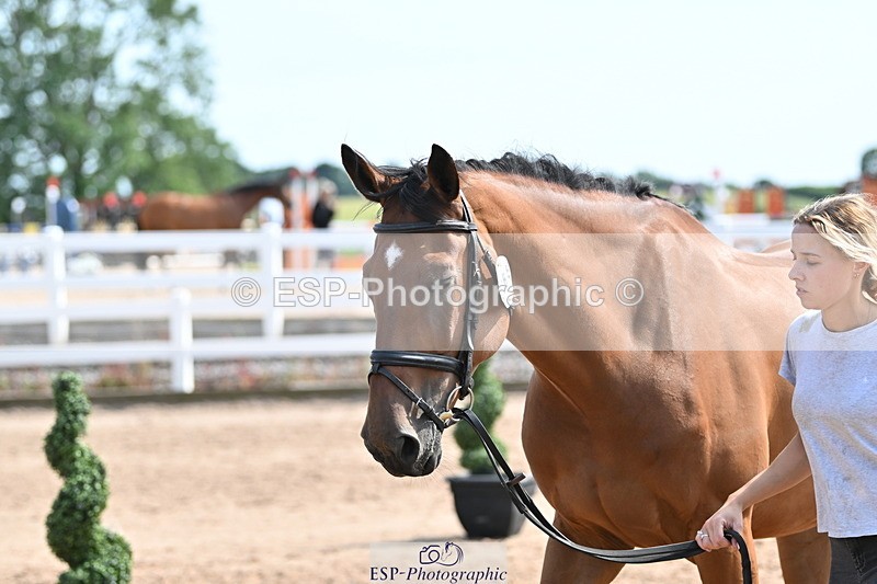 240717A-155348-03156 - Trot Up 3pm to 4pm